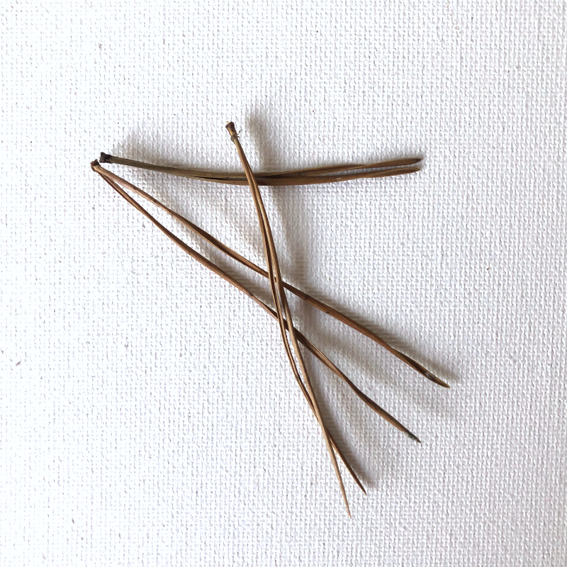 Dunne takjes als natuurlijk bouwmateriaal in creatieve opdrachten – materiaal uit kinderworkshop Atelier Hier & Daar